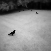 Somewhere not Here #045｜Toshiya Watanabe （渡部敏哉）