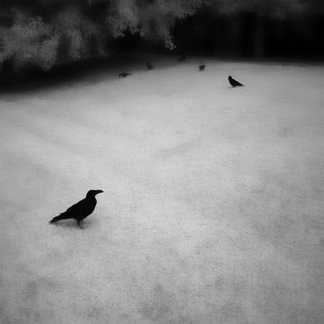 Somewhere not Here #045｜Toshiya Watanabe （渡部敏哉）