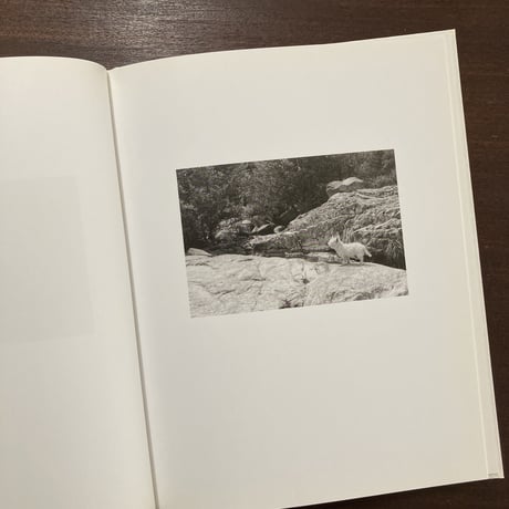 Remember the White Horses｜STEFAN VANTHUYNE