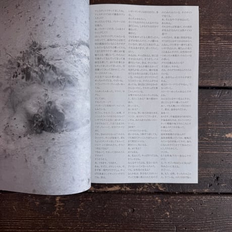 ONSEN MMXXIV｜山谷佑介（Yusuke Yamatani）