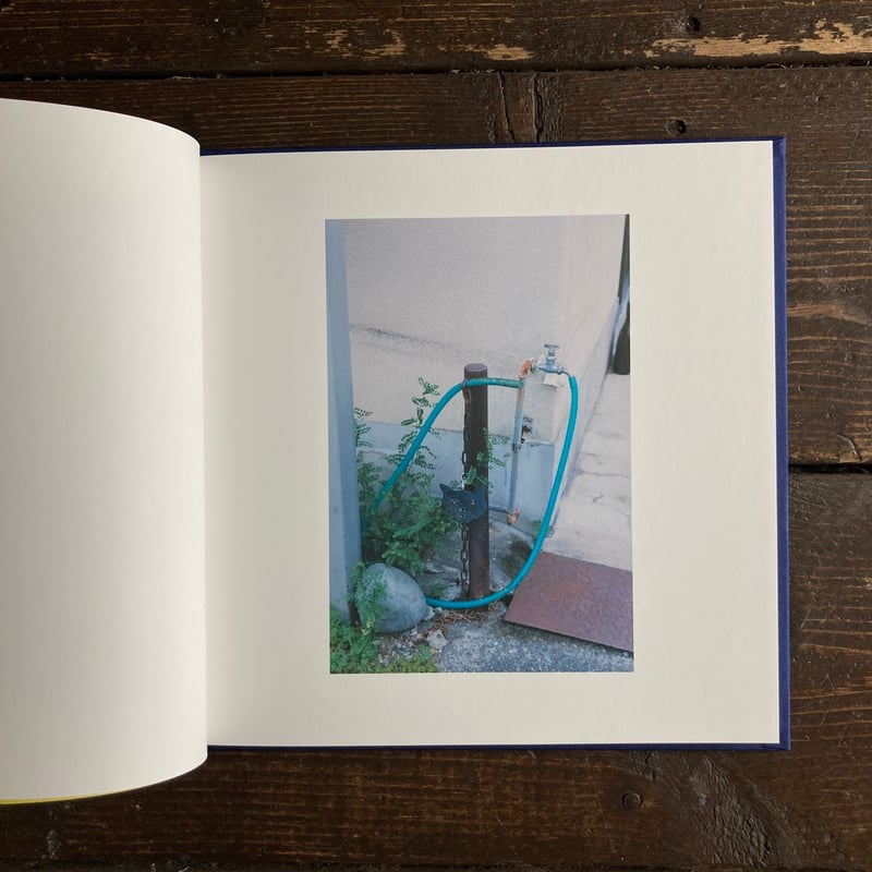 熊谷聖司　写真家　ポスター　菊全判 あなた｜熊谷聖司（Seiji Kumagai） | POETIC SCAPE store