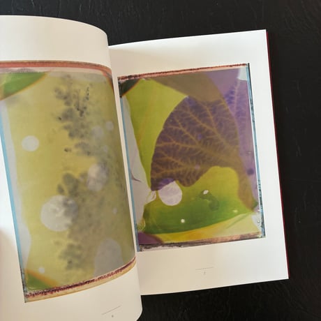 記憶の花 -  藤原更