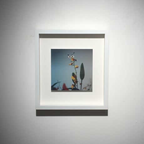 EYES・like an insect（framed）