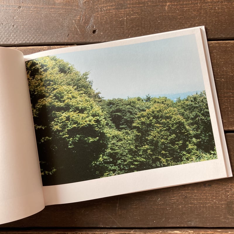 Semicircle Law｜今井智己（Imai Tomoki） | POETIC SCAPE