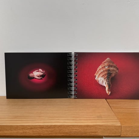 umbilical cord｜大橋愛（eye ohashi）