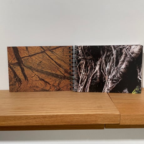 umbilical cord｜大橋愛（eye ohashi）