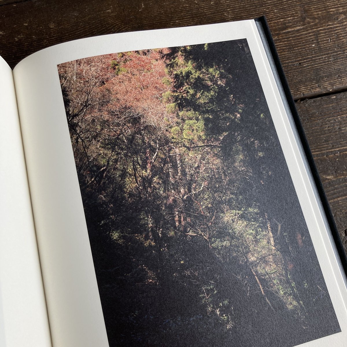 Helix｜山上新平（Shimpei Yamagami） | POETIC SCAPE store