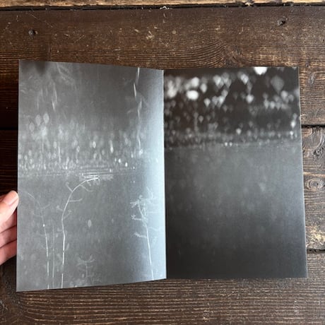 In fog｜頭山ゆう紀（Yuhki Touyama）