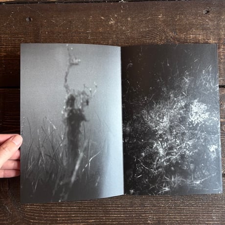 In fog｜頭山ゆう紀（Yuhki Touyama）