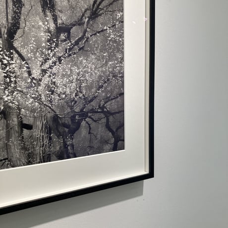 Somewhere not Here #056｜Toshiya Watanabe （渡部敏哉）