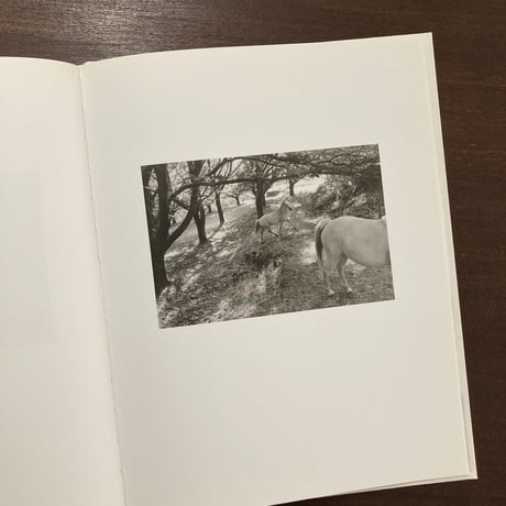 Remember the White Horses｜STEFAN VANTHUYNE