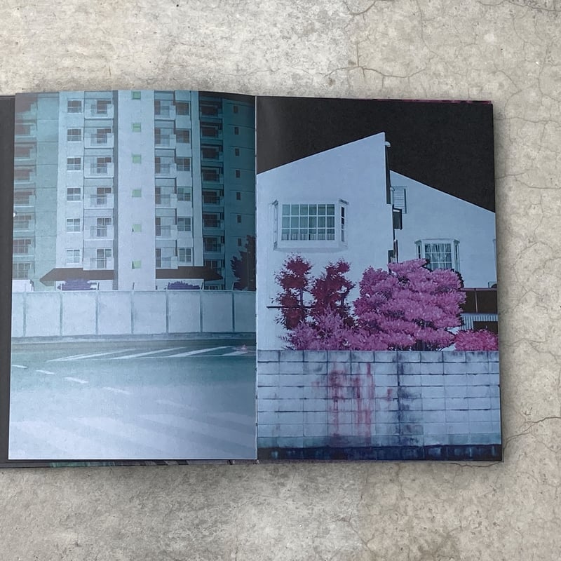 Signed】Into the Light｜山谷佑介（Yusuke Yamatani） |