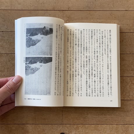 なぜ、植物図鑑かー中平卓馬映像論集｜中平卓馬