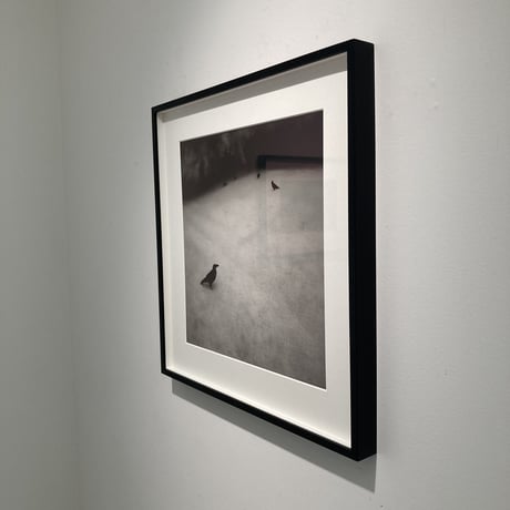 Somewhere not Here #045｜Toshiya Watanabe （渡部敏哉）