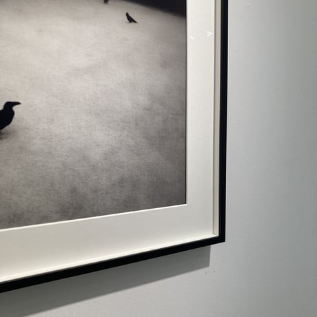 Somewhere not Here #045｜Toshiya Watanabe （渡部敏哉）