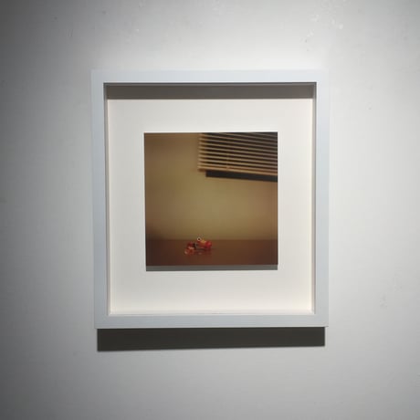 EYES・Peeled package（framed）