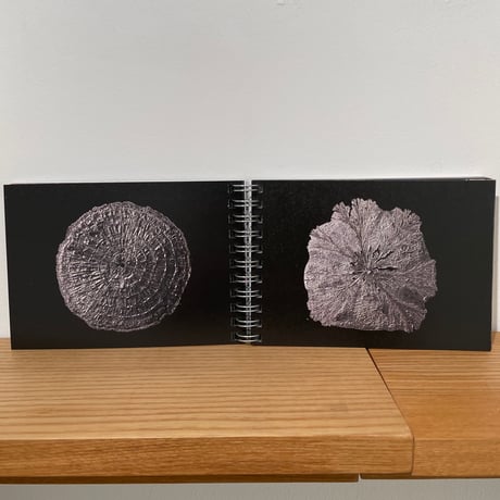 umbilical cord｜大橋愛（eye ohashi）