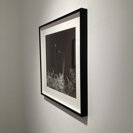 Somewhere not Here #057｜Toshiya Watanabe （渡部敏哉）