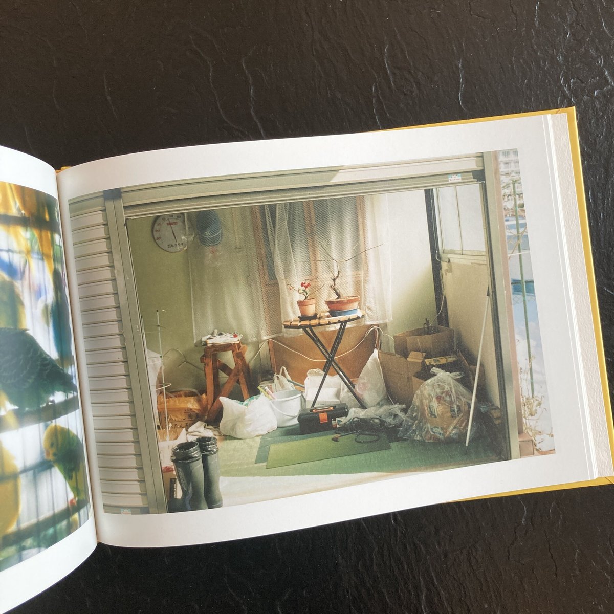 RE FORM｜熊谷聖司（Seiji Kumagai） | POETIC SCAPE store