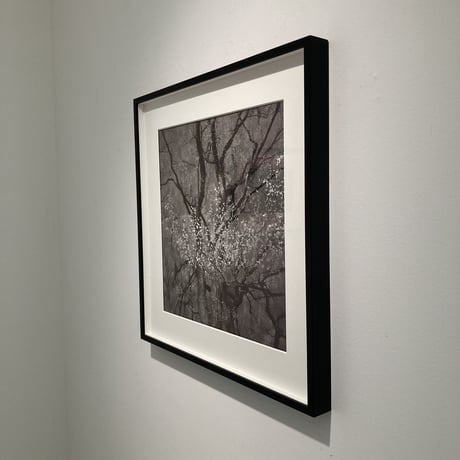 Somewhere not Here #056｜Toshiya Watanabe （渡部敏哉）