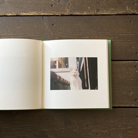 眼の歓びの為に｜熊谷聖司（Seiji Kumagai）