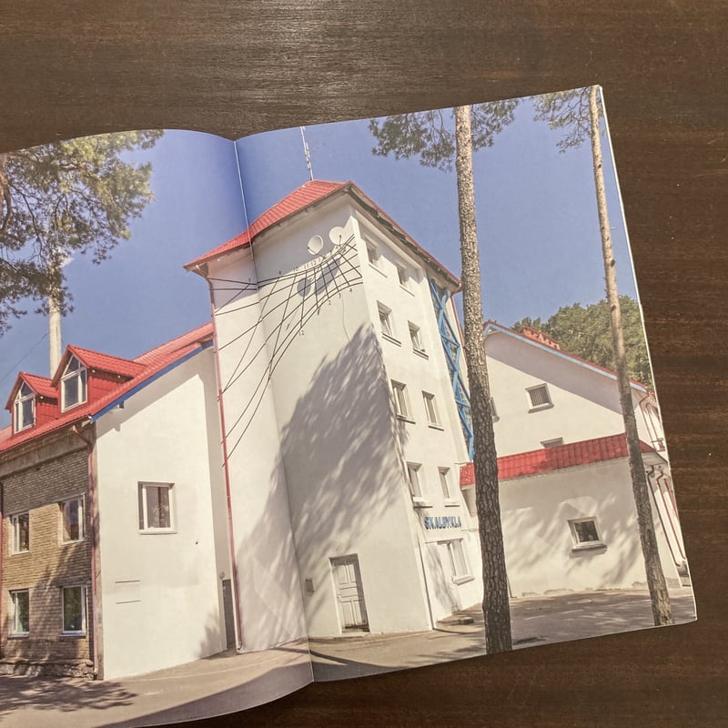 山田悠人 Sakura 絵画 写真 【公式通販】