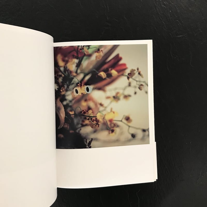 EYES｜野村浩（Hiroshi Nomura） | POETIC SCAPE store