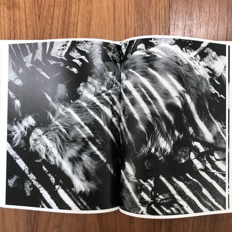 Light and Shadow（英語版）｜森山大道（Daido Moriyama）