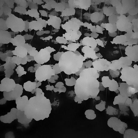 Somewhere not Here #060｜Toshiya Watanabe （渡部敏哉）