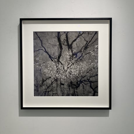 Somewhere not Here #056｜Toshiya Watanabe （渡部敏哉）