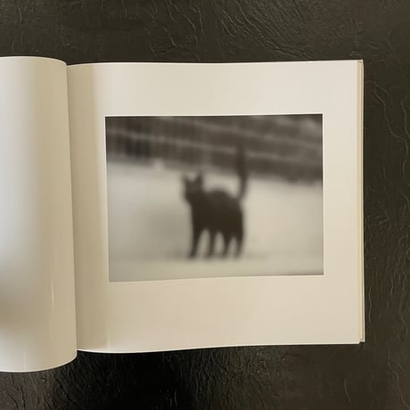 ALT｜鶴巻 育子（Ikuko Tsurumaki）