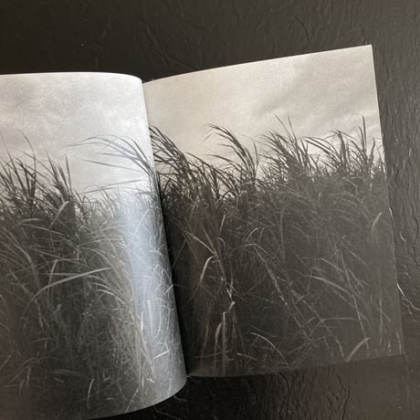 【Signed】blue affair｜岡原巧祐（Kosuke Okahara）