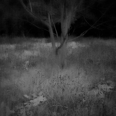 Somewhere not Here #053｜Toshiya Watanabe （渡部敏哉）