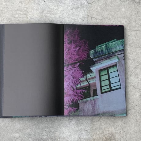 【Signed】Into the Light｜山谷佑介（Yusuke Yamatani）