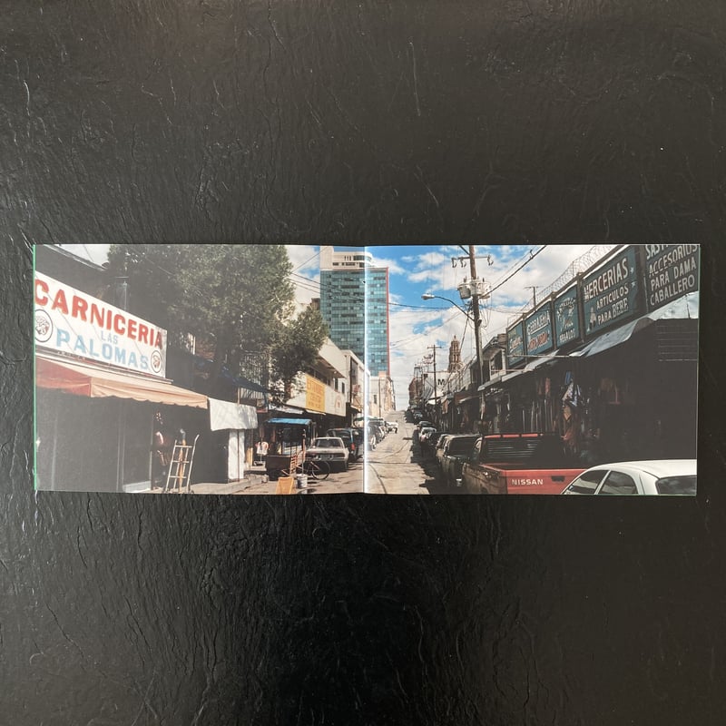 Signed】馬とサボテン Horse& Cactus｜尾仲浩二（Koji Onaka） |