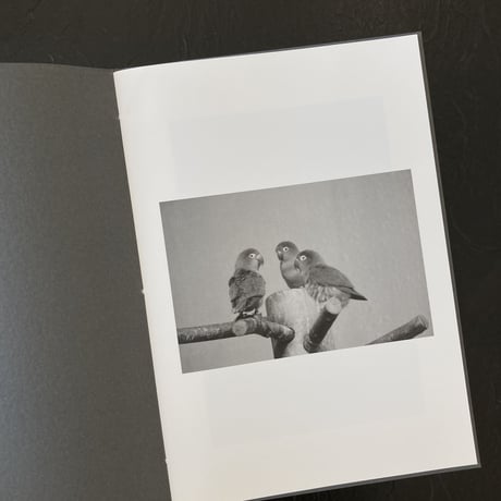 【Signed】 ZOO ANIMALS｜酒 航太（Kota Sake）