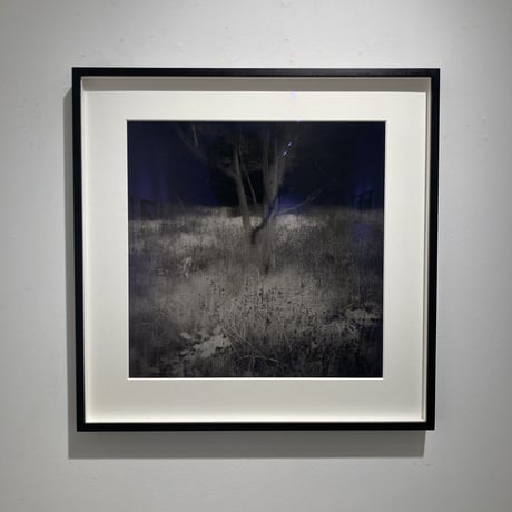 Somewhere not Here #053｜Toshiya Watanabe （渡部敏哉）