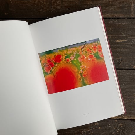 Melting Petals｜藤原更（Sara Fujiwara）