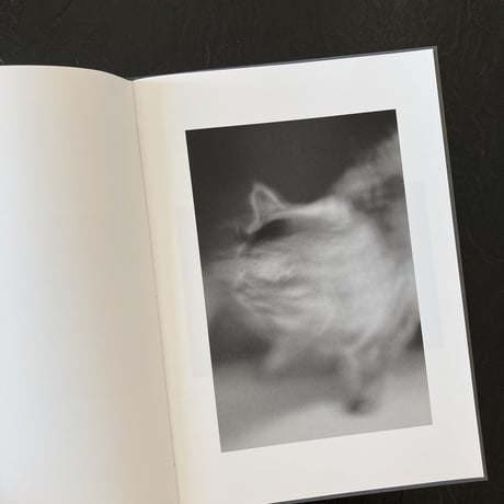 【Signed】 ZOO ANIMALS｜酒 航太（Kota Sake）