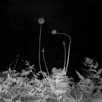 Somewhere not Here #057｜Toshiya Watanabe （渡部敏哉）