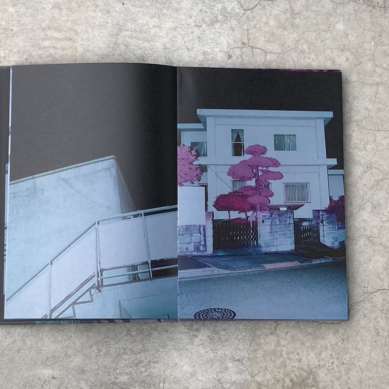 Signed】Into the Light｜山谷佑介（Yusuke Yamatani） |