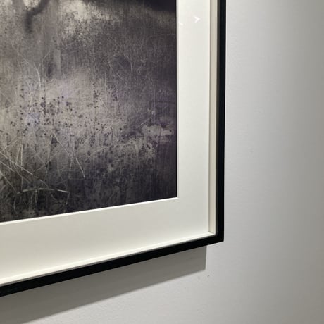 Somewhere not Here #053｜Toshiya Watanabe （渡部敏哉）