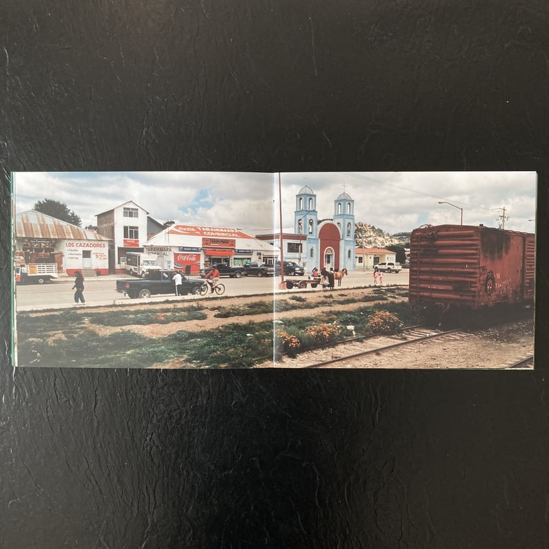 Signed】馬とサボテン Horse& Cactus｜尾仲浩二（Koji Onaka） |