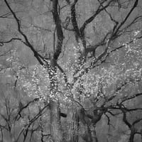 Somewhere not Here #056｜Toshiya Watanabe （渡部敏哉）