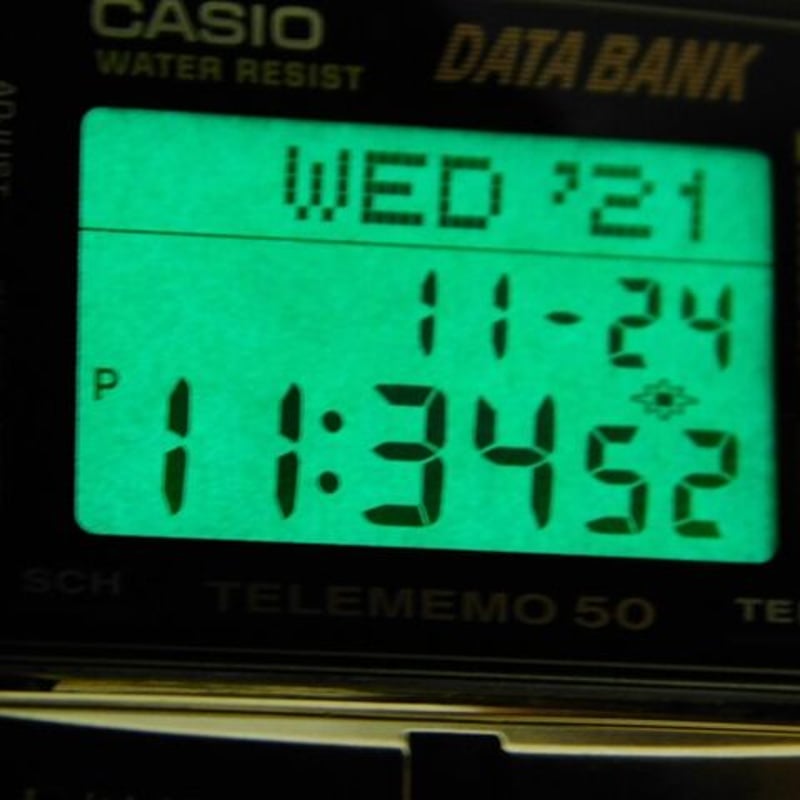 未使用品・稼働品【95年製】カシオデータバンクテレメモ50DB