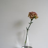 BOROSIL フラスコ１０００