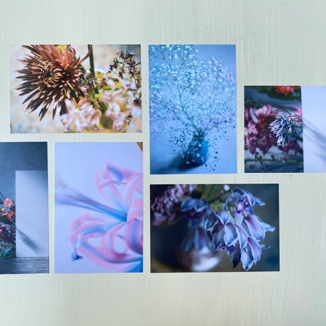 【染めの花】book ＆ postcard set