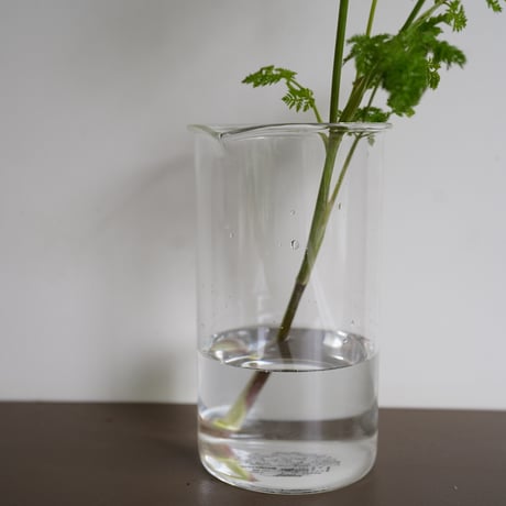 BOROSIL トールビーカー１０００