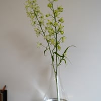 アルミマウントA2 ”tulip” | gui flower STORE