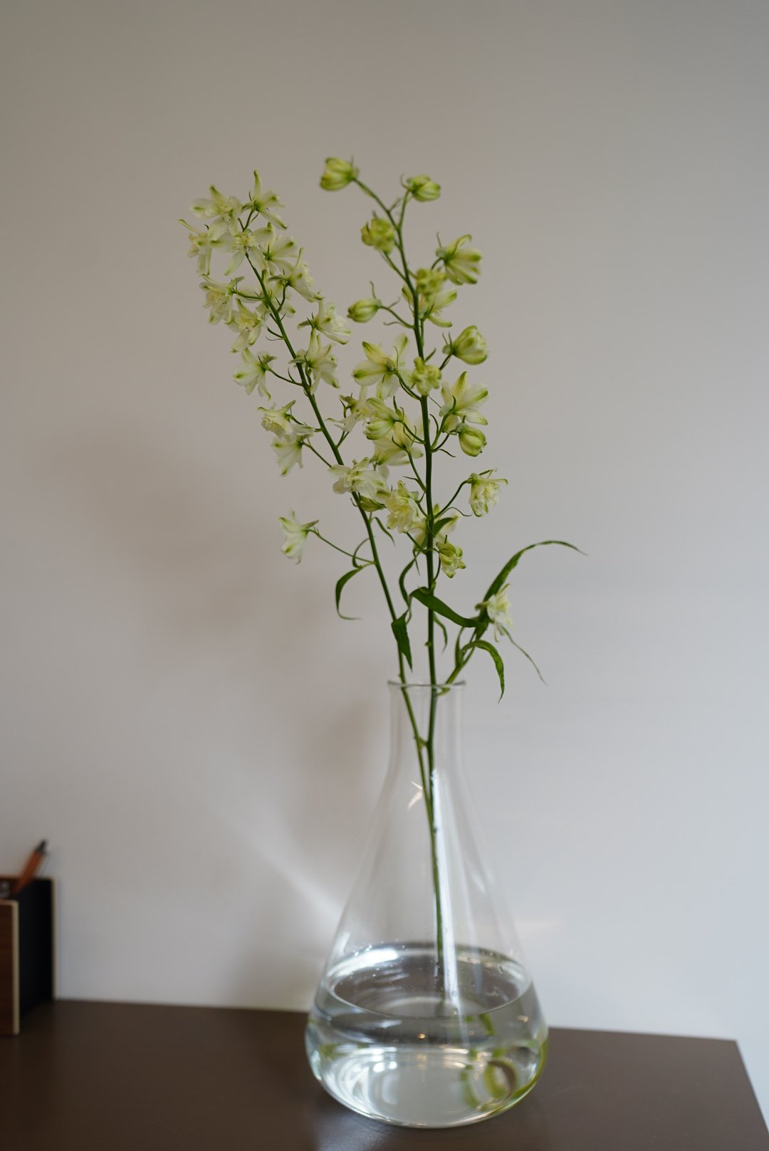 BOROSIL フラスコ2000 | gui flower STORE